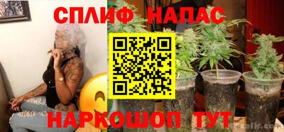 PSILOCYBIN Балахна